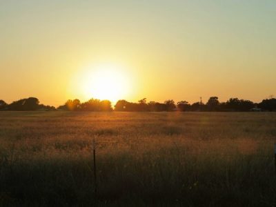 Greed Never Pays… Including When Pricing Your Property